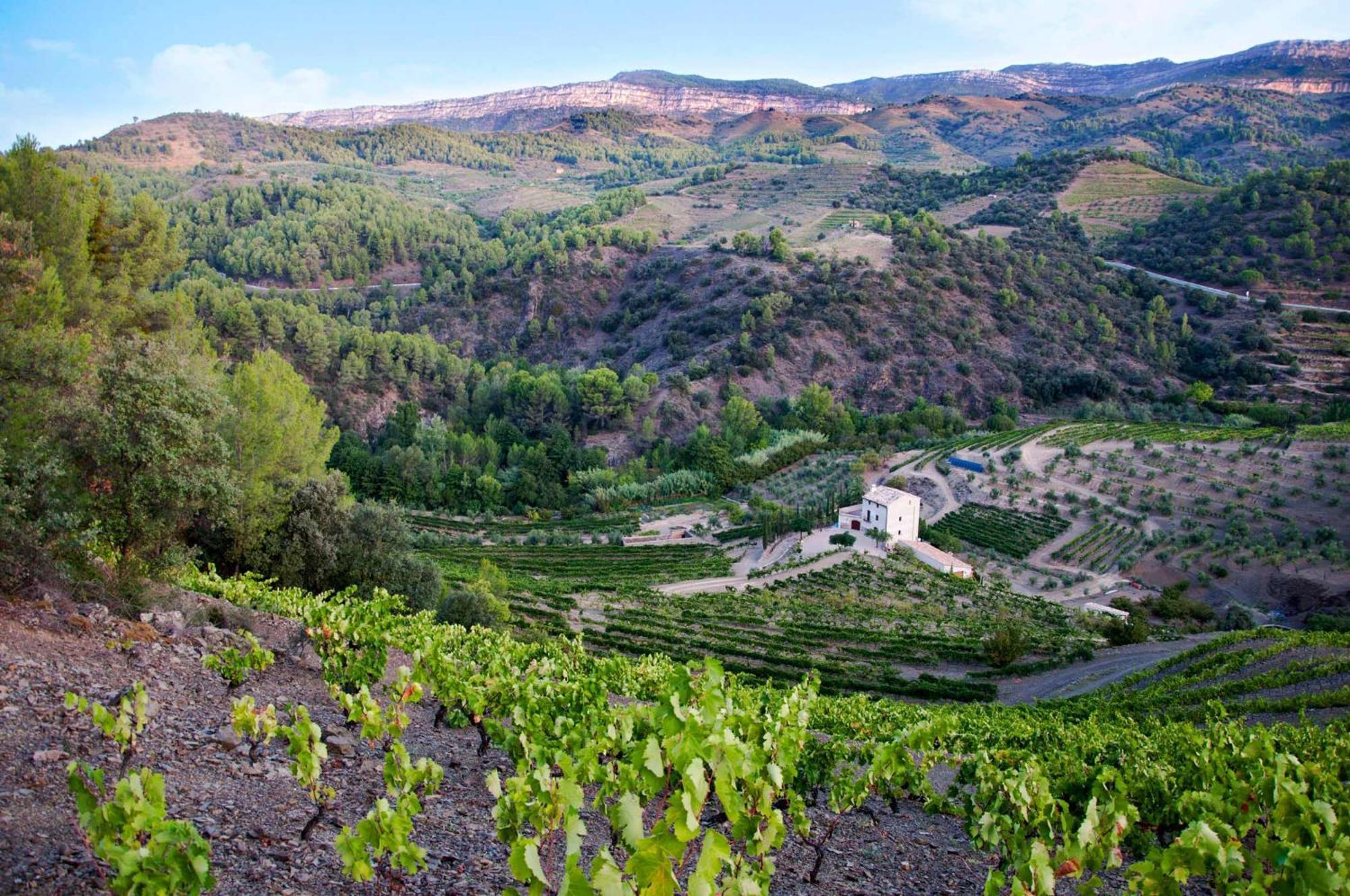 Mas Alsera. Masoveria D'Agroturisme Torroja Exterior foto